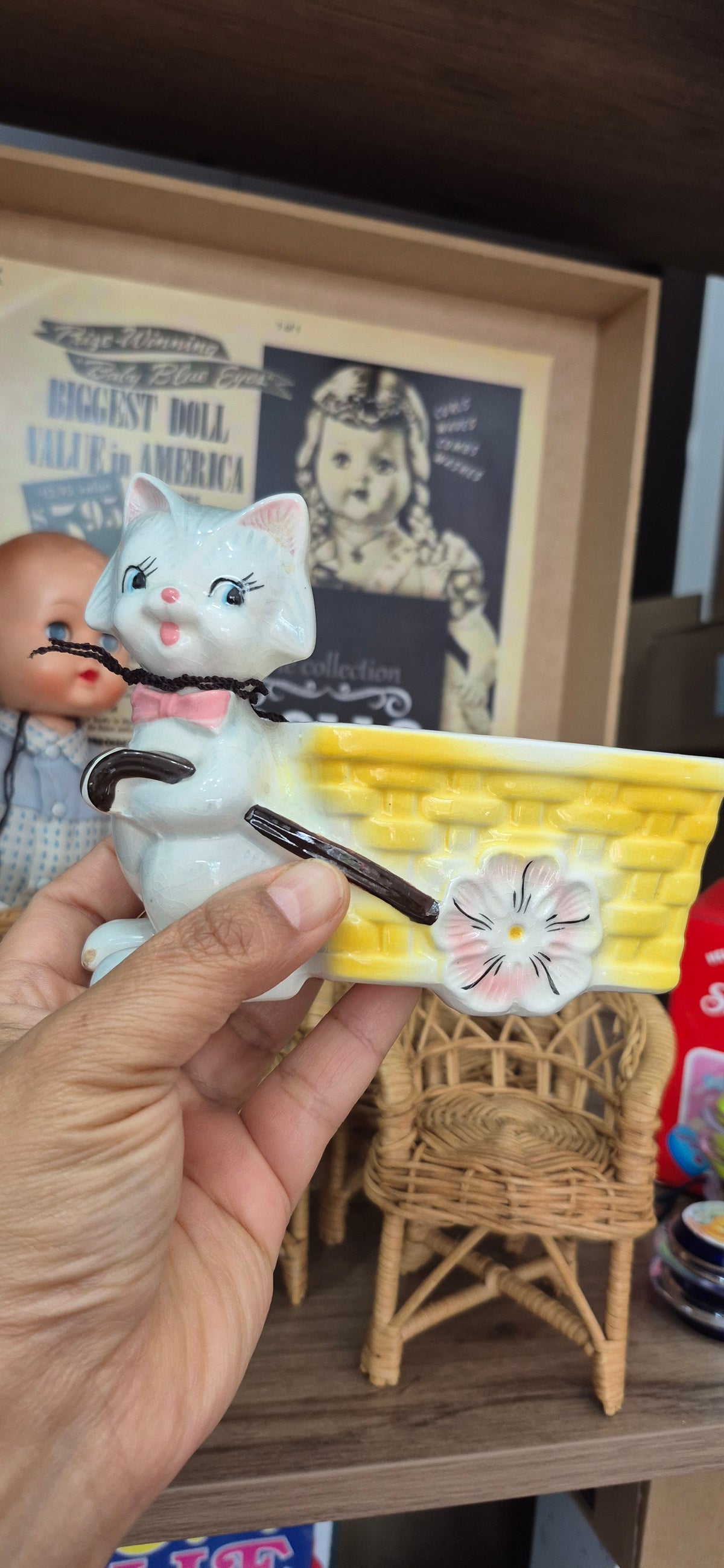 Macetita gato 1950